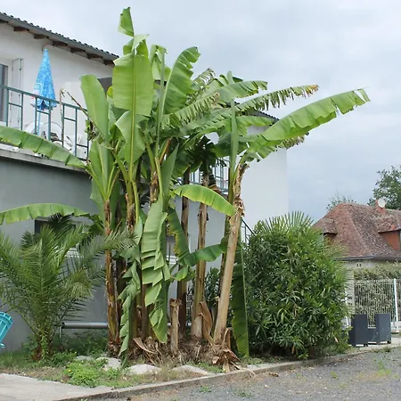 Apartmán T3 En Centre-ville De Avec Terrasse, Piscine Et Parking - Fr-1-541-75