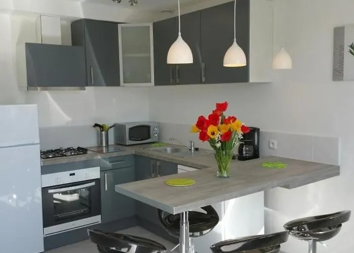 公寓 T3 En Centre-ville De Avec Terrasse, Piscine Et Parking - Fr-1-541-75 *